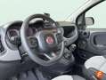 Fiat Panda 1.2 City Cross 51kW (69CV) Gris - thumbnail 22