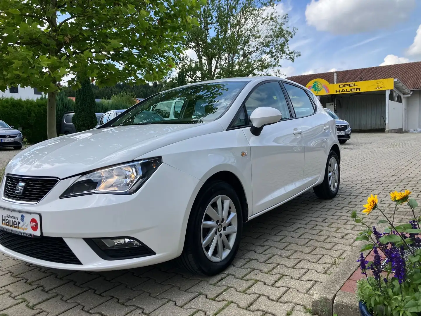 SEAT Ibiza 1.2 TSI Style Klima Technik Pak. Safty Pa. Weiß - 1