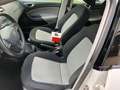 SEAT Ibiza 1.2 TSI Style Klima Technik Pak. Safty Pa. Weiß - thumbnail 8