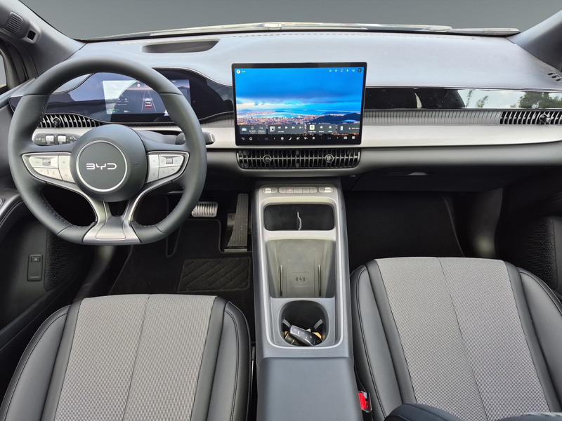 BYD Dolphin G DM-i Comfort — photo 10