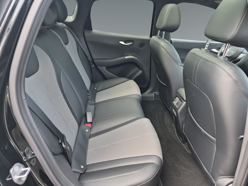 BYD Dolphin G DM-i Comfort — photo 14