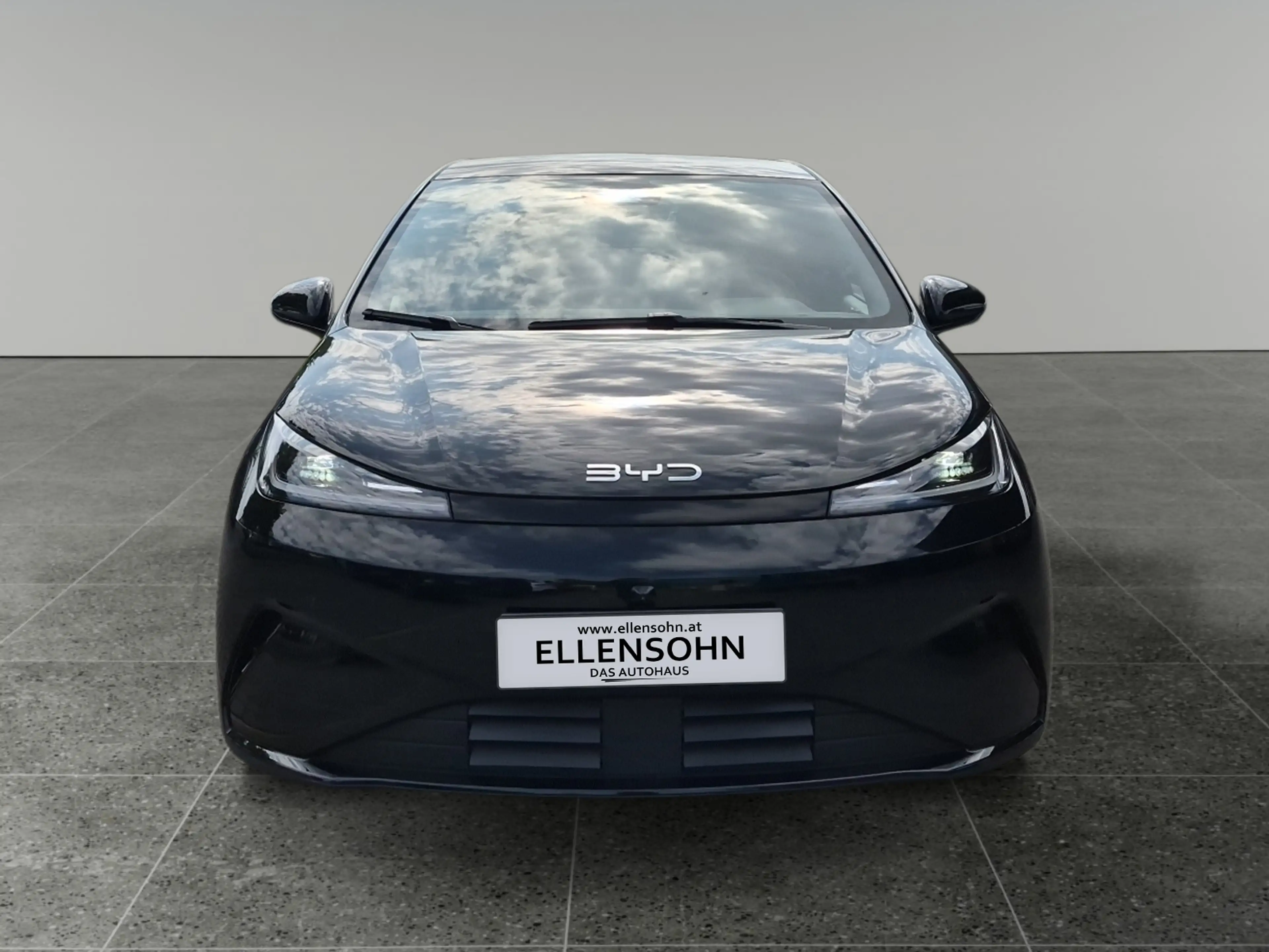 BYD Dolphin G DM-i Comfort — photo 8