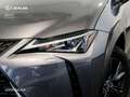 Lexus UX 250h 2WD Gris - thumbnail 7