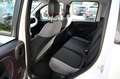Fiat Panda Panda 1.0 firefly hybrid City Life s Weiß - thumbnail 14
