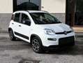 Fiat Panda Panda 1.0 firefly hybrid City Life s Weiß - thumbnail 2