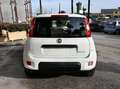 Fiat Panda Panda 1.0 firefly hybrid City Life s Weiß - thumbnail 11