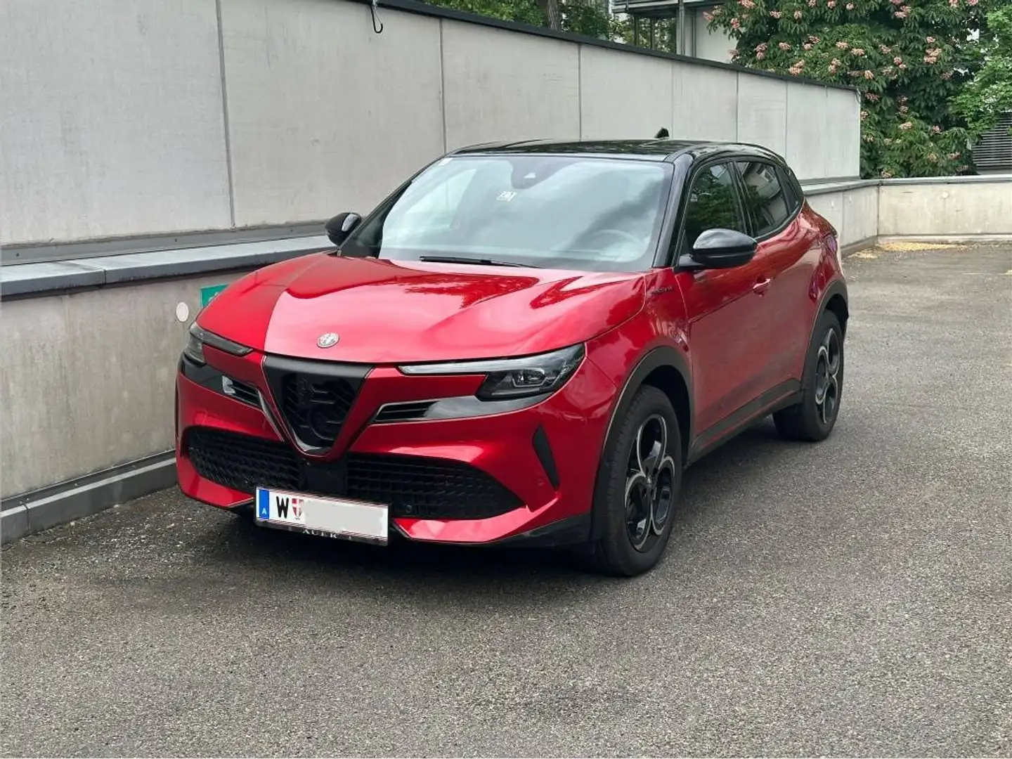Alfa Romeo Junior Junior Ibrida Speciale 1.2 MHEV e-DCT6 Speciale Rot - 1