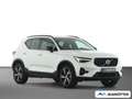 Volvo XC40 B3 Plus Dark 2WD PANO/PIXEL/LHZ/SHZ/ACC Weiß - thumbnail 4