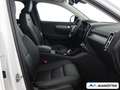 Volvo XC40 B3 Plus Dark 2WD PANO/PIXEL/LHZ/SHZ/ACC Weiß - thumbnail 12