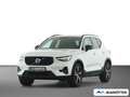 Volvo XC40 B3 Plus Dark 2WD PANO/PIXEL/LHZ/SHZ/ACC Weiß - thumbnail 1