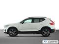 Volvo XC40 B3 Plus Dark 2WD PANO/PIXEL/LHZ/SHZ/ACC Weiß - thumbnail 8