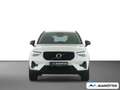 Volvo XC40 B3 Plus Dark 2WD PANO/PIXEL/LHZ/SHZ/ACC Weiß - thumbnail 7