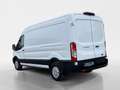 Ford Transit Transit Kasten 2,0 EcoBlue L3H2 350 Trend Weiß - thumbnail 3