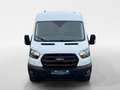 Ford Transit Transit Kasten 2,0 EcoBlue L3H2 350 Trend Weiß - thumbnail 8