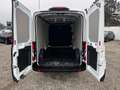 Ford Transit Transit Kasten 2,0 EcoBlue L3H2 350 Trend Weiß - thumbnail 12