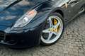 Ferrari 599 *Bleu Pozzi* - thumbnail 2