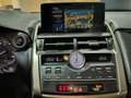 Lexus NX 300 2.5 300h Business Navigation 2WD Gris - thumbnail 39