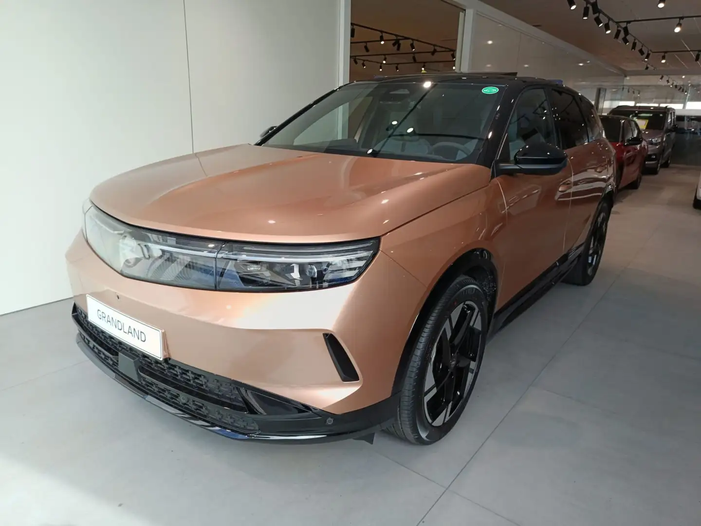 Opel Grandland Electric GS 82kWh Jaune - 1