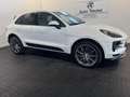 Porsche Macan 2.0 TETTO - PASM - CERCHI 21"" FULL!! Wit - thumbnail 27