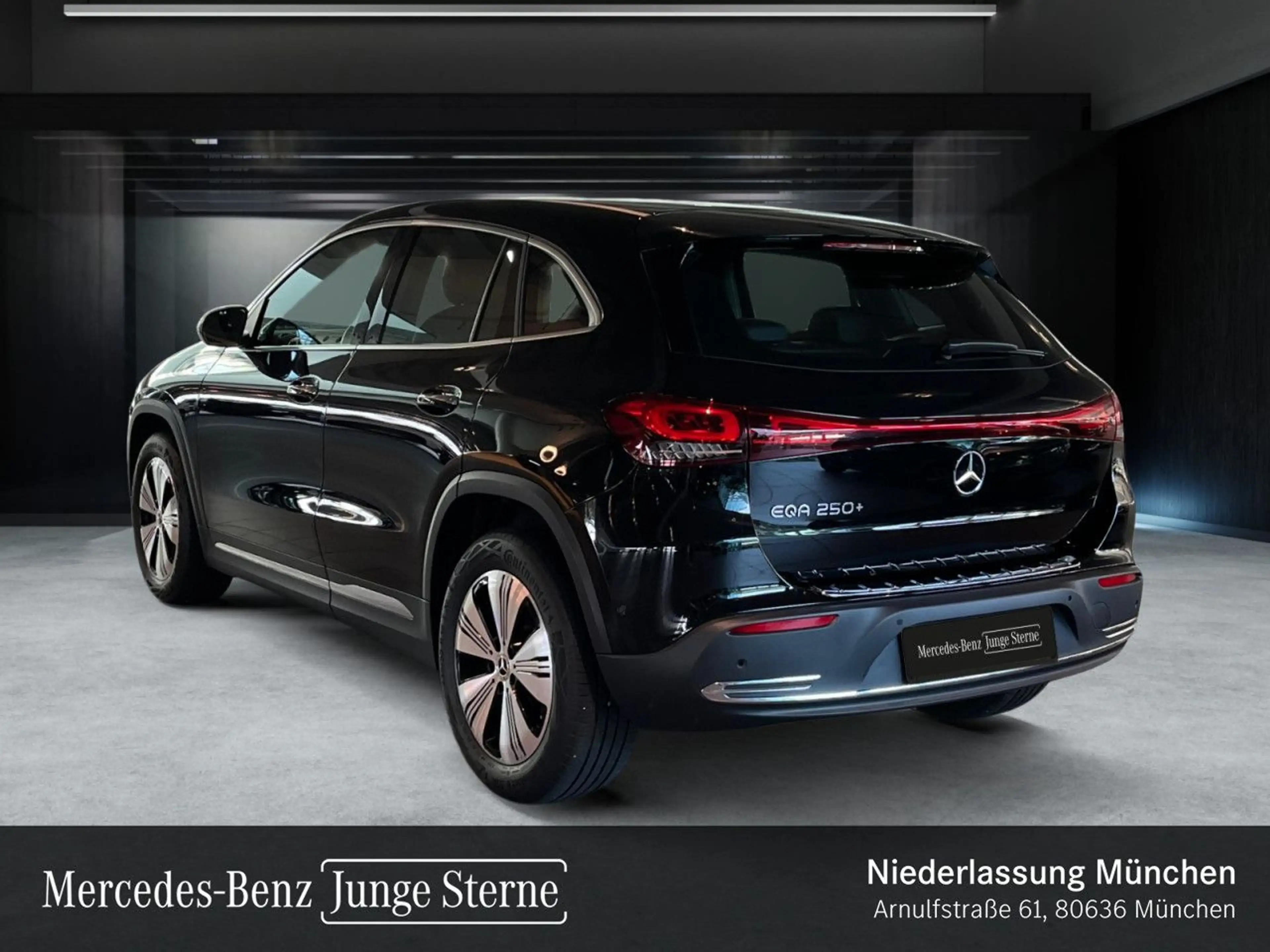 Mercedes-Benz EQA 250 PROG+PLUS-PAKET+KAMERA+MEMORY+KEYLESS+SPUR — photo 9