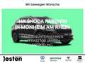 CUPRA Ateca 1.5TSI Businesspaket CUPRA Plus Heckkl. el. Zwart - thumbnail 1