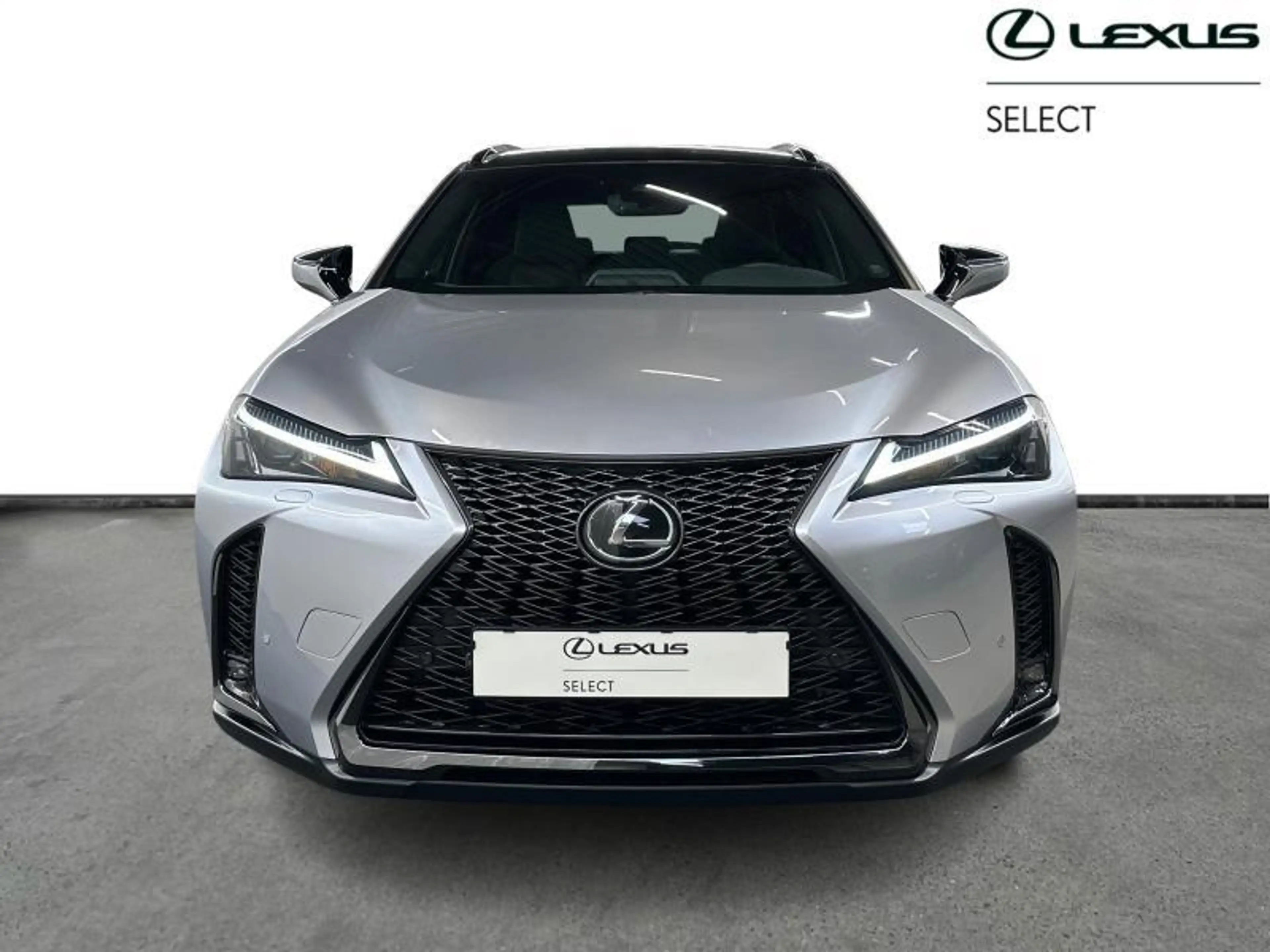 Lexus UX 250h F-Sport Design | winter pack — photo 5