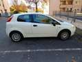 Fiat Punto Punto 1.2 8V Classic Alb - thumbnail 1