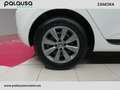 Renault Clio Blue dCi Business 63kW Weiß - thumbnail 18