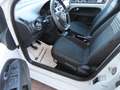 Volkswagen up! Basis 1.0 1.Hd*PDC*Temp*Klima*SHZ*Start-Stop Weiß - thumbnail 7