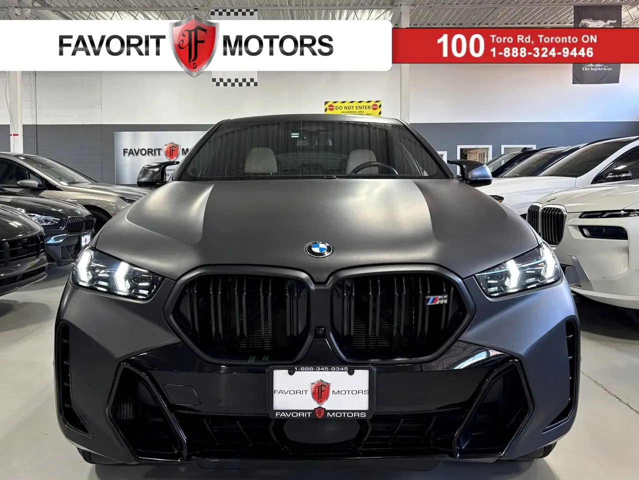 2025 BMW X6