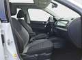 Skoda Fabia Drive 1.0 TSI Pano*LED*RFK*ACC*SmartLink Blanc - thumbnail 5