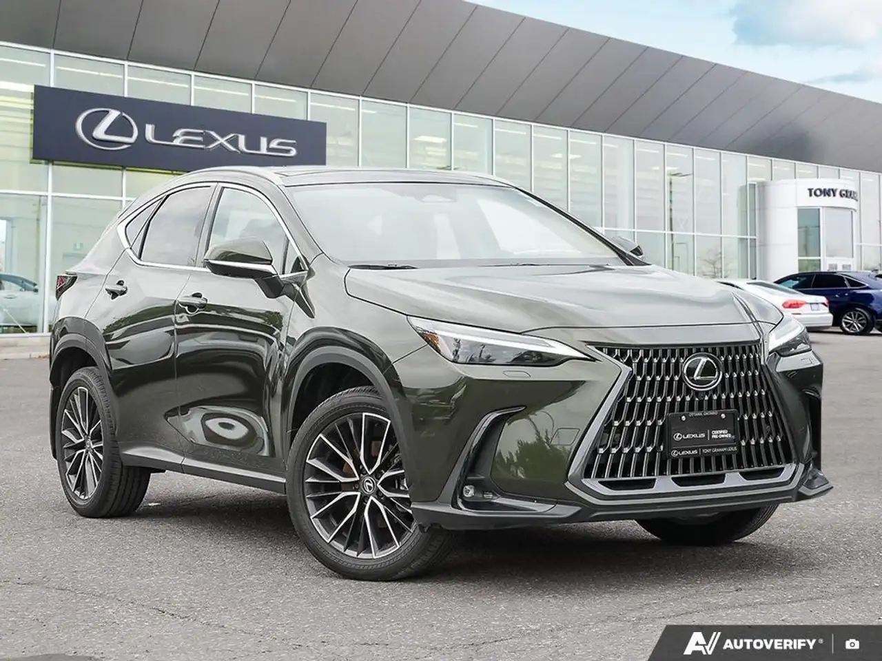 2024 Lexus NX