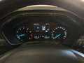 Ford Focus Focus 1.5 EcoBoost 150 CV 5p. ST-Line Blu/Azzurro - thumbnail 13