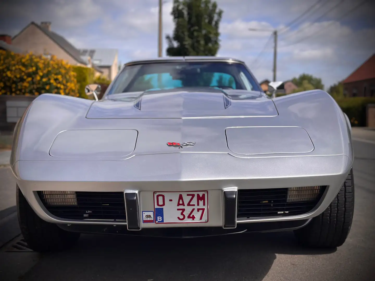 Chevrolet Corvette C3 StingRay Zilver - 2