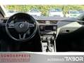 Skoda Octavia Combi 1.6 TDI DSG Style PDC LM Climatr Weiß - thumbnail 5