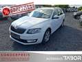 Skoda Octavia Combi 1.6 TDI DSG Style PDC LM Climatr Weiß - thumbnail 1