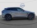 Jaguar F-Pace P550 SVR HUD,Panodach,AHK,22 Zoll Grau - thumbnail 6