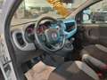 Fiat Panda 1.0 FireFly 70cv Hybrid City Life Weiß - thumbnail 29