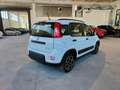 Fiat Panda 1.0 FireFly 70cv Hybrid City Life Weiß - thumbnail 5