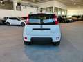 Fiat Panda 1.0 FireFly 70cv Hybrid City Life Weiß - thumbnail 6