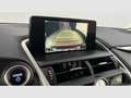 Lexus NX 300h 2.5 Business 2WD Rojo - thumbnail 48