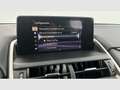 Lexus NX 300h 2.5 Business 2WD Rojo - thumbnail 16