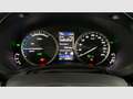 Lexus NX 300h 2.5 Business 2WD Rojo - thumbnail 10