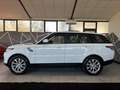 Land Rover Range Rover Sport Range Rover Sport 3.0 tdV6HSE Dynamic auto my16 E6 Bianco - thumbnail 4