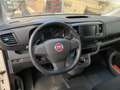 Fiat Scudo 2.0 BlueHDi 145 CV AT8 PL-TN Furgone Business Bianco - thumbnail 6