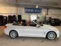 BMW 430 4 Cabrio 430 i Luxury Line Weiß - thumbnail 9