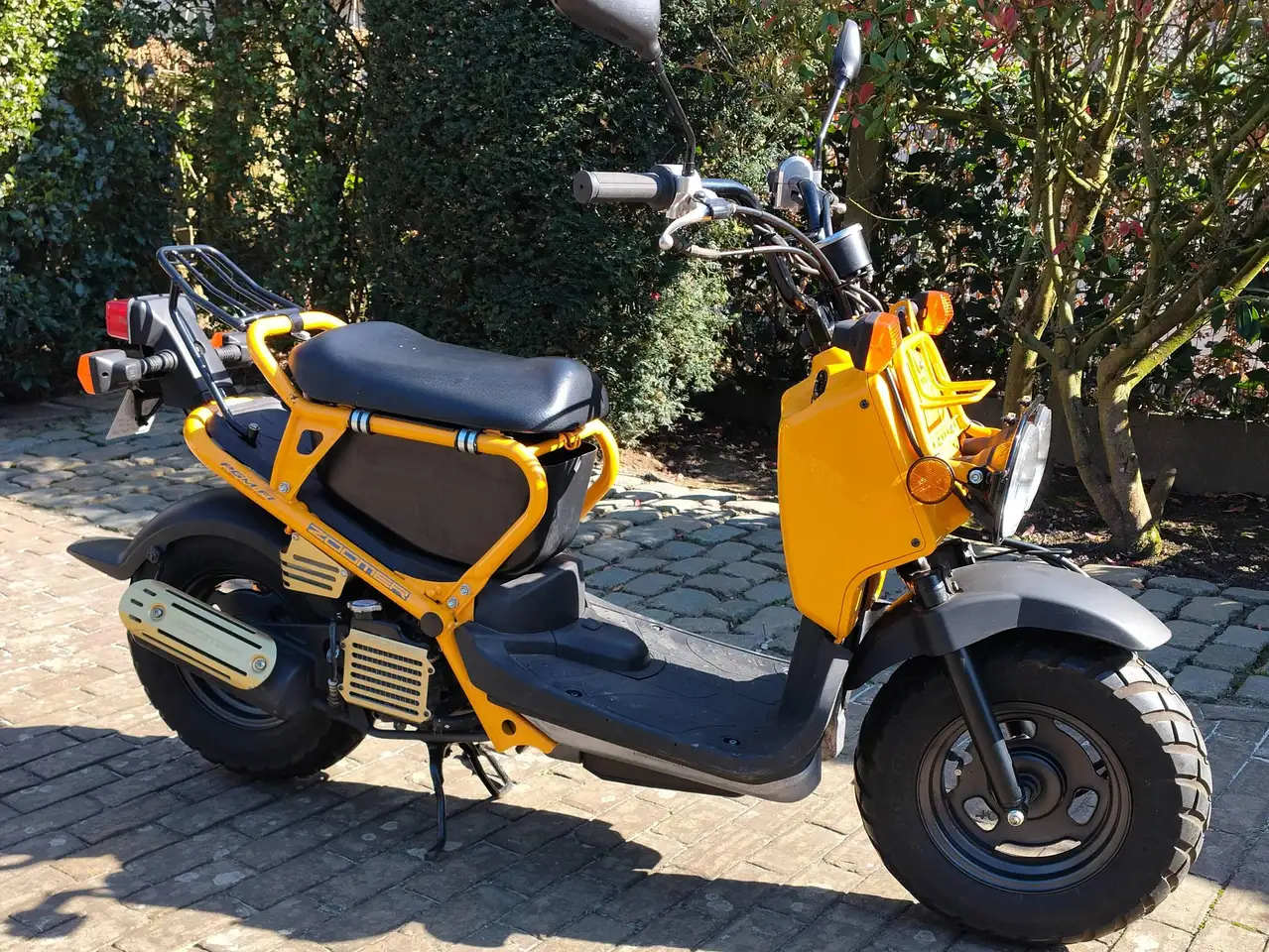 Honda Zoomer