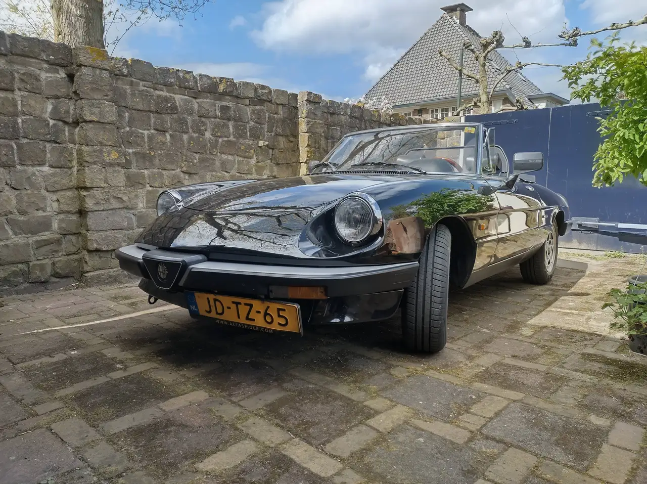 Alfa Romeo Spider, foto 3