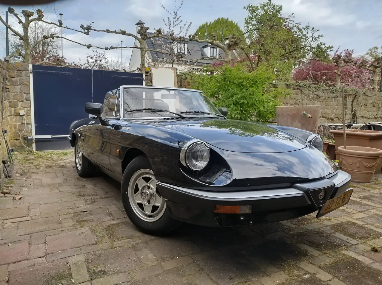 Alfa Romeo Spider, foto 7