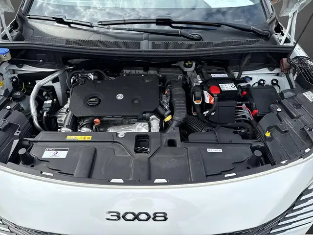 Peugeot 3008 view 8